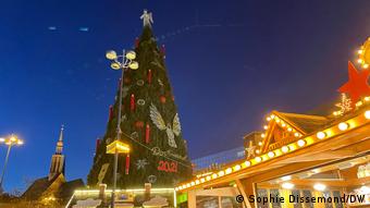 A tall Christmas tree towers over lights of market stalls.