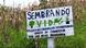 Con "Sembrando Vida", el Gobierno mexicano busca promover la reforestación con subsidios para agricultores. Pero ambientalistas reportan el efecto contrario: deforestación indiscriminada, productores que cortan árboles para solicitar subsidios.