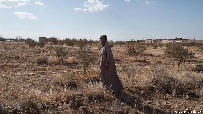 A man in a long robe stands in a gently rolling field in Syria full of withered olive trees
