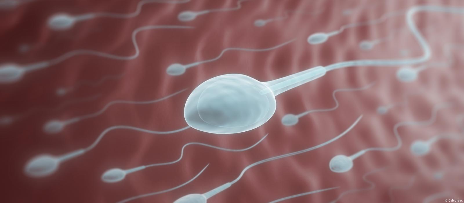 Alina Nijnevartovsk seks uchun porno