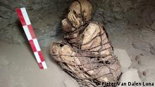 Hallan en Perú una momia de al menos 800 años de antigüedad