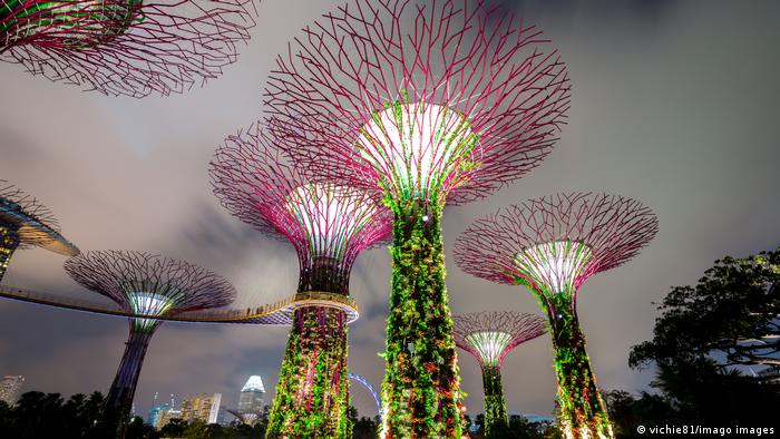 Вертикальні сади у Сінгапурі 
