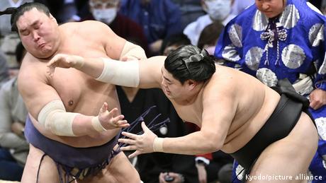 Japan: Sumo wrestler deaths raise obesity concerns