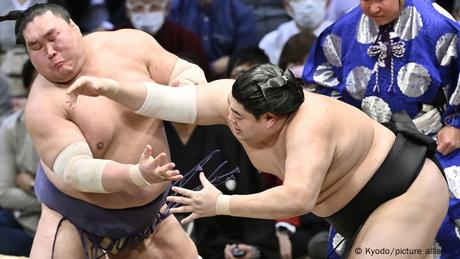 Japan: Sumo wrestler deaths raise obesity concerns