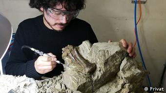 Sergio Soto, paleontologist at the University of Chile