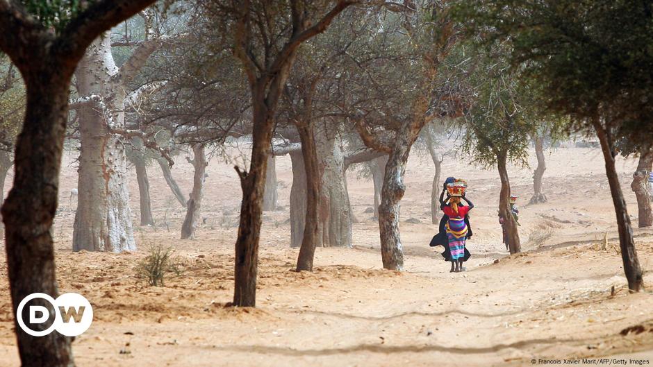 Mehr als 30 Tote bei Angriff in Mali