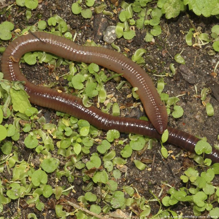 Rus sozlari aks etgan porno videolar