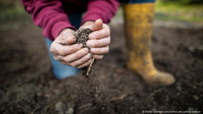 Ein Mann laesst Mutterboden durch die Hand rieseln in einem Garten in Melaune (Sachsen)