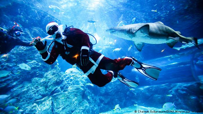 BdTD Thailand | Weihnachtsmann im Sea Life Bangkok