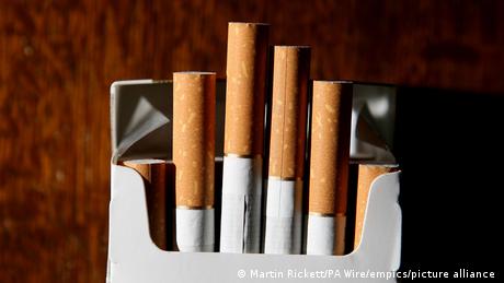 Несмотря на вред для здоровья, почти каждый пятый в мире курит