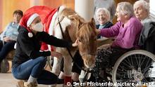 Пони-терапия под Рождество (фото)
