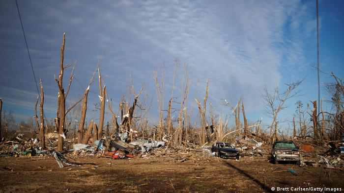 Árboles destruidos.