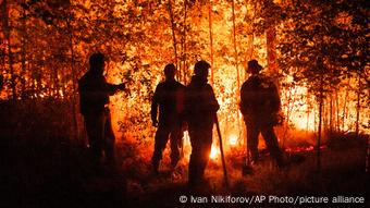 Пожарные тушат горящий лес западнее Якутска, август 2021 года 