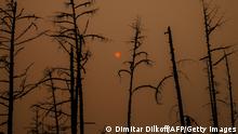 TOPSHOT - This picture taken on July 27, 2021, shows the sunlight filtered through smoke from burning forests near the village of Magaras in the republic of Sakha, Siberia. - Russia is plagued by widespread forest fires, with the Sakha-Yakutia region in Siberia being the worst affected. According to many scientists, Russia -- especially its Siberian and Arctic regions -- is among the countries most exposed to climate change. The country has set numerous records in recent years and in June 2020 registered 38 degrees Celsius (100.4 degrees Fahrenheit) in the town of Verkhoyansk -- the highest temperature recorded above the Arctic circle since measurements began. (Photo by Dimitar DILKOFF / AFP) (Photo by DIMITAR DILKOFF/AFP via Getty Images)
