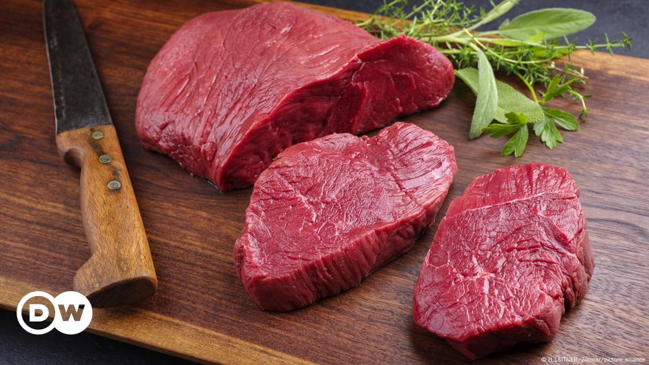 La France interdit l’utilisation de « steak », « saucisse » pour décrire la nourriture végétarienne  Nouvelles |  DW