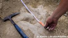 Researchers measure a fossilized dinosaur footprint made about 120 million years ago during the Cretaceous Period during field work in the La Rioja region, in northern Spain, in this undated handout picture. Two sets of footprints at the site enabled scientists to estimate the running speed of a medium-sized carnivorous dinosaur. Alberto Labrador/Handout via REUTERS NO RESALES. NO ARCHIVES. THIS IMAGE HAS BEEN SUPPLIED BY A THIRD PARTY.