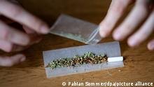 ILLUSTRATION - Eine Person dreht sich einen Joint. (Zu dpa «Maltas Parlament billigt Konsum von Cannabis») +++ dpa-Bildfunk +++