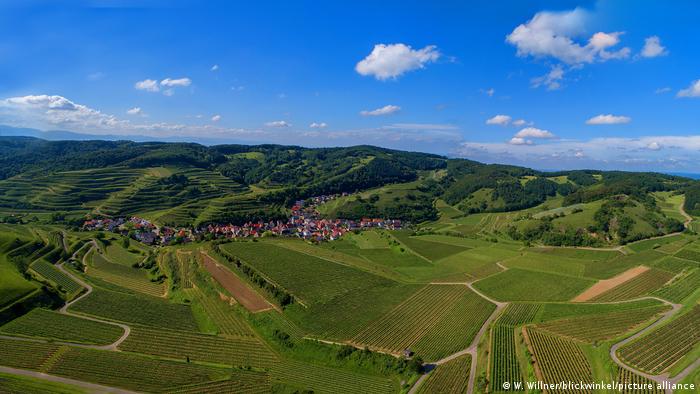 Aerial view over vineyards and a village in a valley in Baden-Württemberg, Germany