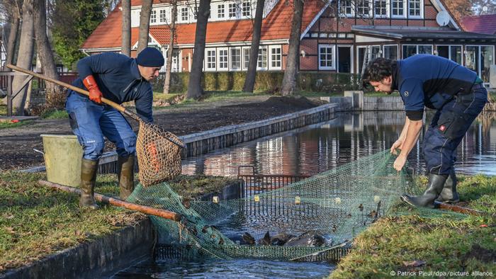 Fish farm Köllnitz