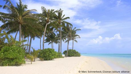 Palmen und Sandstrand auf den Malediven