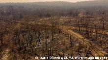 16.09.2020
September 16, 2020: drone images of the devastation caused by the fires in the Pantanal region of Mato Grosso, in the region of the city of Cuiaba. The fire consumed a large part of the vegetation of the region that has not had rain for more than 100 days. - ZUMAo70_ 20200916_zap_o70_012 Copyright: xDarioxOliveirax 