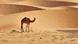Pas facile de fermer hermétiquement la longue frontière entre le Mali et la Mauritanie Pas facile de fermer hermétiquement la longue frontière entre le Mali et la Mauritanie
