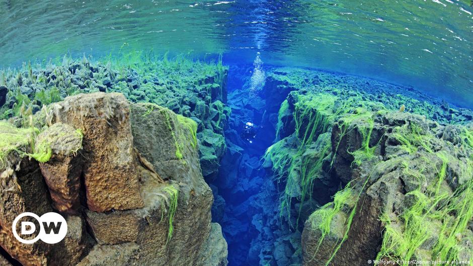 Científicos descubren ‘pasaje geológico subterráneo’ que une Galápagos con Panamá |  Ciencia y Ecología |  DW