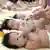 Foto simbólica de bebés asiáticos.