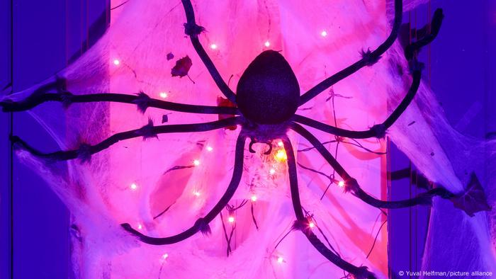 Spiders and webs are part of Ukrainian Christmas tree trimmings due to the belief that they bring good luck