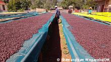 Äthiopien Vermeidung von Umweltverschmutzung durch Kaffee-Nebenprodukte