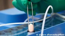 La EMA recomienda Paxlovid, el primer antiviral oral contra el covid en la UE