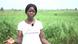 Adenike Oladosu, eco-feminist from Nigeria, standing on a field Adenike Oladosu, eco-feminist from Nigeria, standing on a field