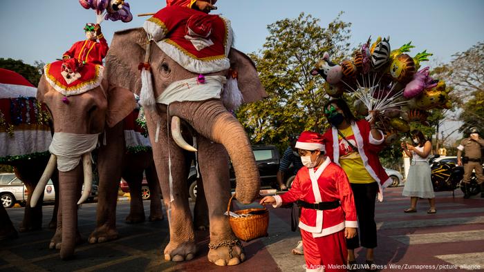 An elephant trainer dressed as Santa Claus and two elephants dressed in festive garb and balloons