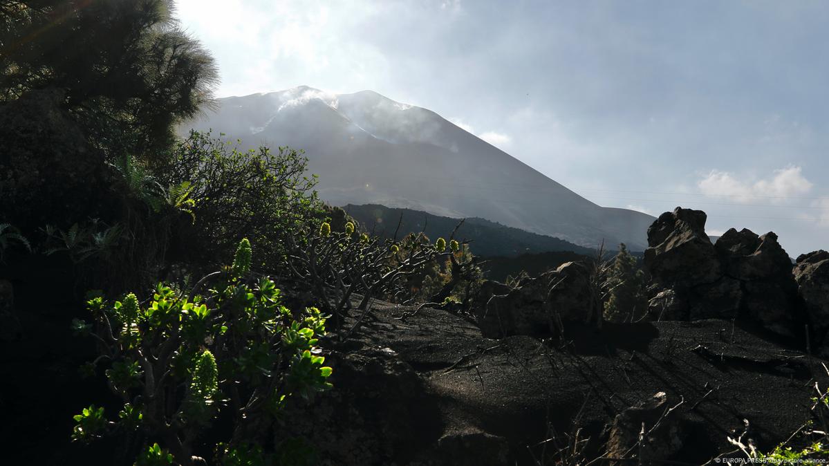 La Palma volcanic eruption declared over – DW – 12/25/2021