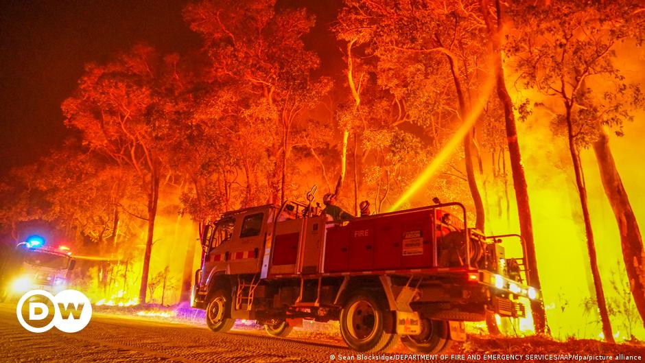 UN warnen vor immer mehr Waldbränden