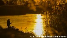 25/12/2021 Lebus Ein Angler steht im Sonnenaufgang am deutsch-polnischen Grenzfluss Oder.