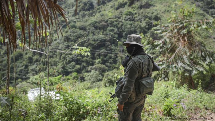 Colombia: Coca Eradication at the coast north of the country