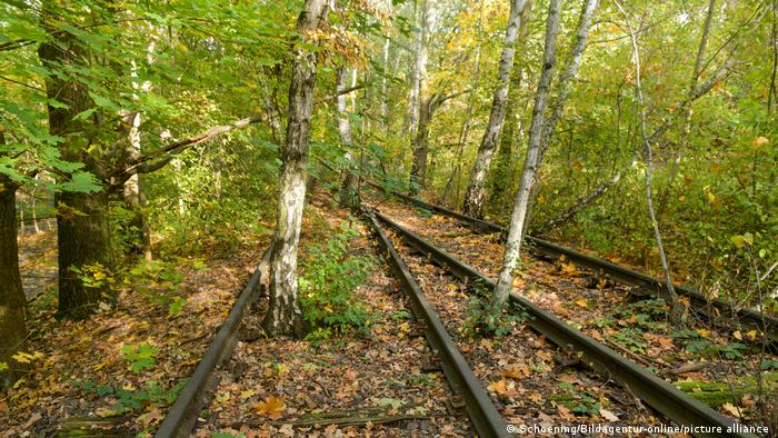 Abandoned train tracks in the forest of Berlin's Natur-Park Südgelände.