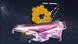 Artist's depiction of James Webb Space Telescope Artist's depiction of James Webb Space Telescope
