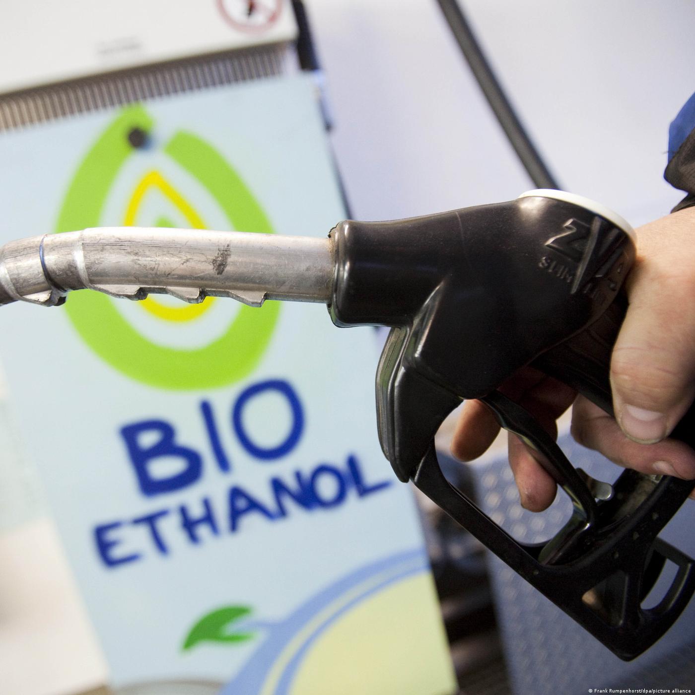 Is it time to end biofuels?