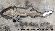 A man poses next to excavated remains of a Britain's largest ichthyosaur, at Rutland Water, Rutland county, Britain, August 2021 in this picture obtained from social media on January 10, 2022. Anglian Water/Matthew Power Photography via REUTERS THIS IMAGE HAS BEEN SUPPLIED BY A THIRD PARTY. MANDATORY CREDIT. NO RESALES. NO ARCHIVES.