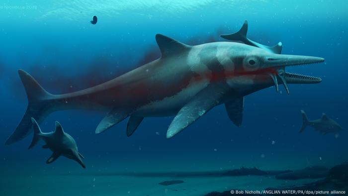 Illustration of a ichthyosaur swimming in the sea with a smaller animal in its mouth 