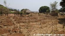 14.06.2012
Dry crops in a village in Africa, Talpia, Zambia, Africa PUBLICATIONxINxGERxSUIxAUTxONLY Copyright: DanxBurton 934-627
Dry crops in a Village in Africa Zambia Africa PUBLICATIONxINxGERxSUIxAUTxONLY Copyright DanxBurton 934 627 