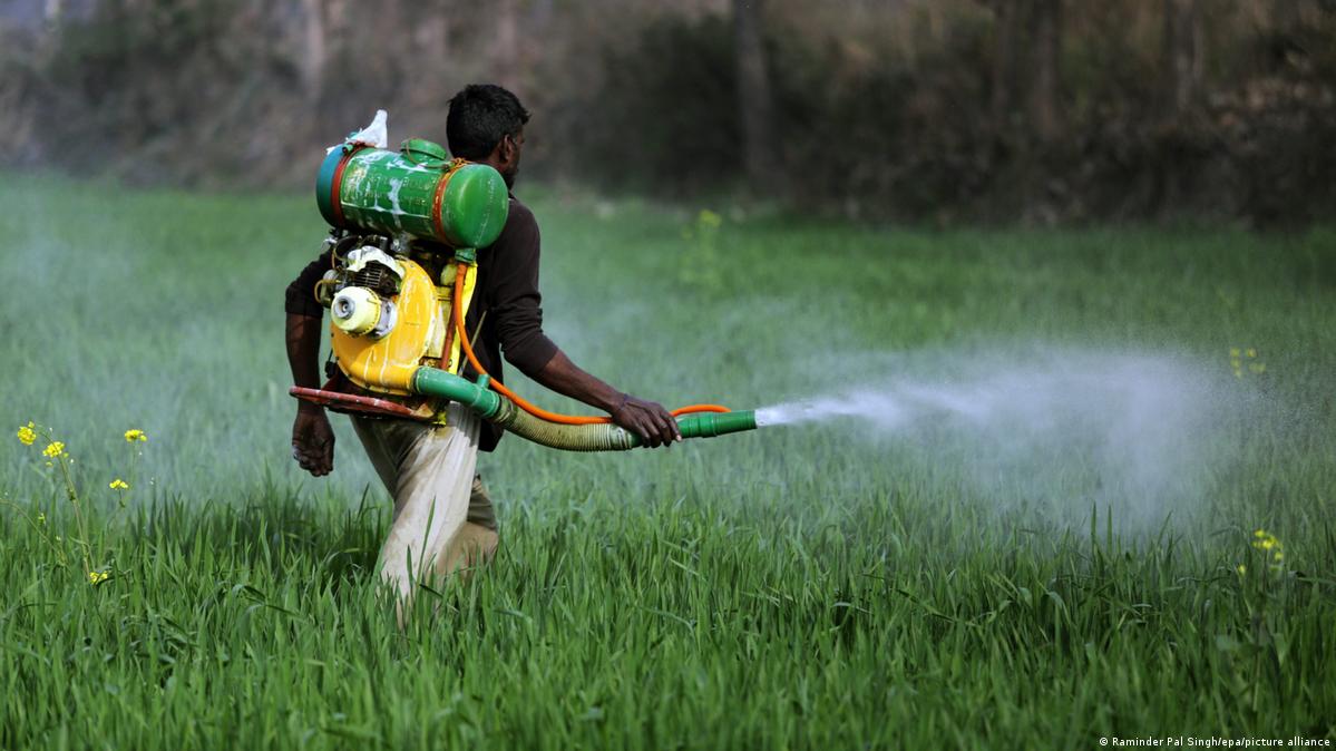 spraying pesticieds
