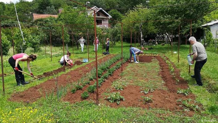 Seven people are seen in a garden, some of the are working on plans