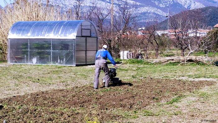 Left: a building with plastic walls and plants inside, right to it a man plowing a field 