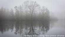 11.01.2022
Kahle Bäume spiegeln sich am Morgen bei nebligem Wetter auf der Wasseroberfläche vom Annateich im Hermann-Löns-Park. +++ dpa-Bildfunk +++