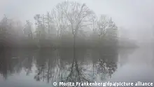 11.01.2022
Kahle Bäume spiegeln sich am Morgen bei nebligem Wetter auf der Wasseroberfläche vom Annateich im Hermann-Löns-Park. +++ dpa-Bildfunk +++