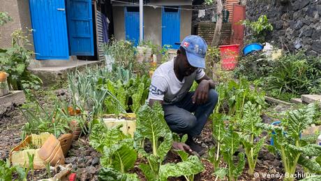 DR Kongo, Gartenarbeit in Goma