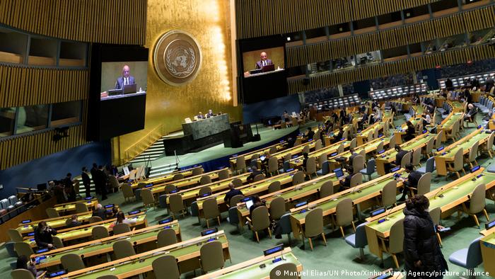 UN general assembly plenary meeting on Palestine in session